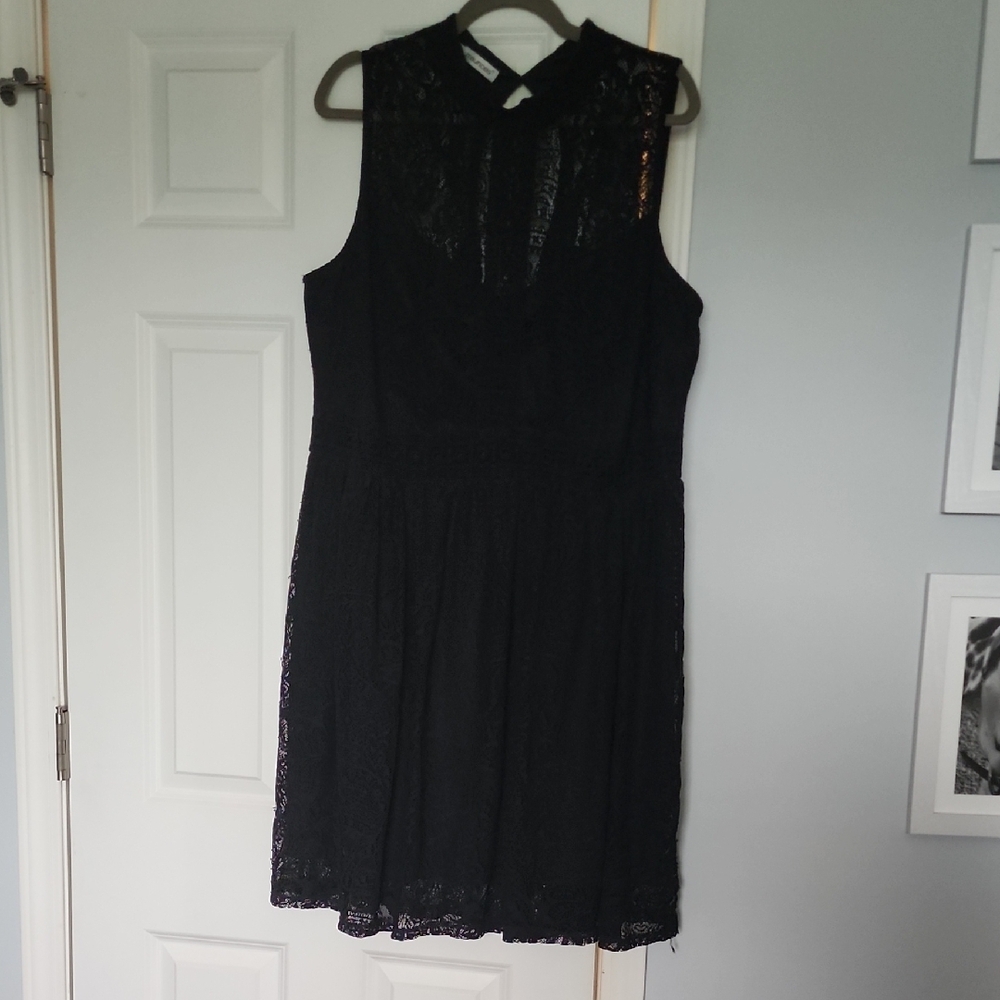 Elegant Black Lace Dress Plus Size